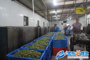 南通东恒食品公司成功入选为南通市农业龙头企业